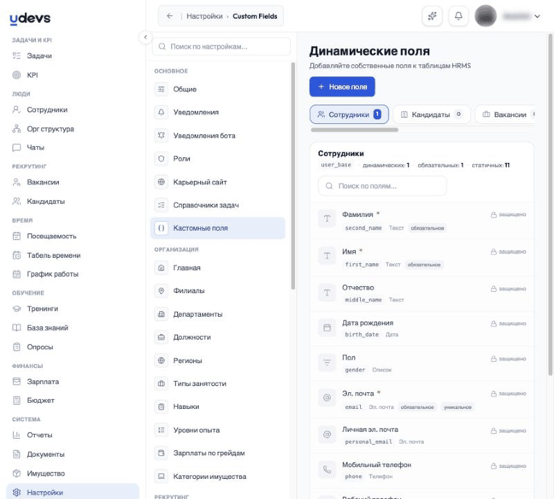 Кастомные поля